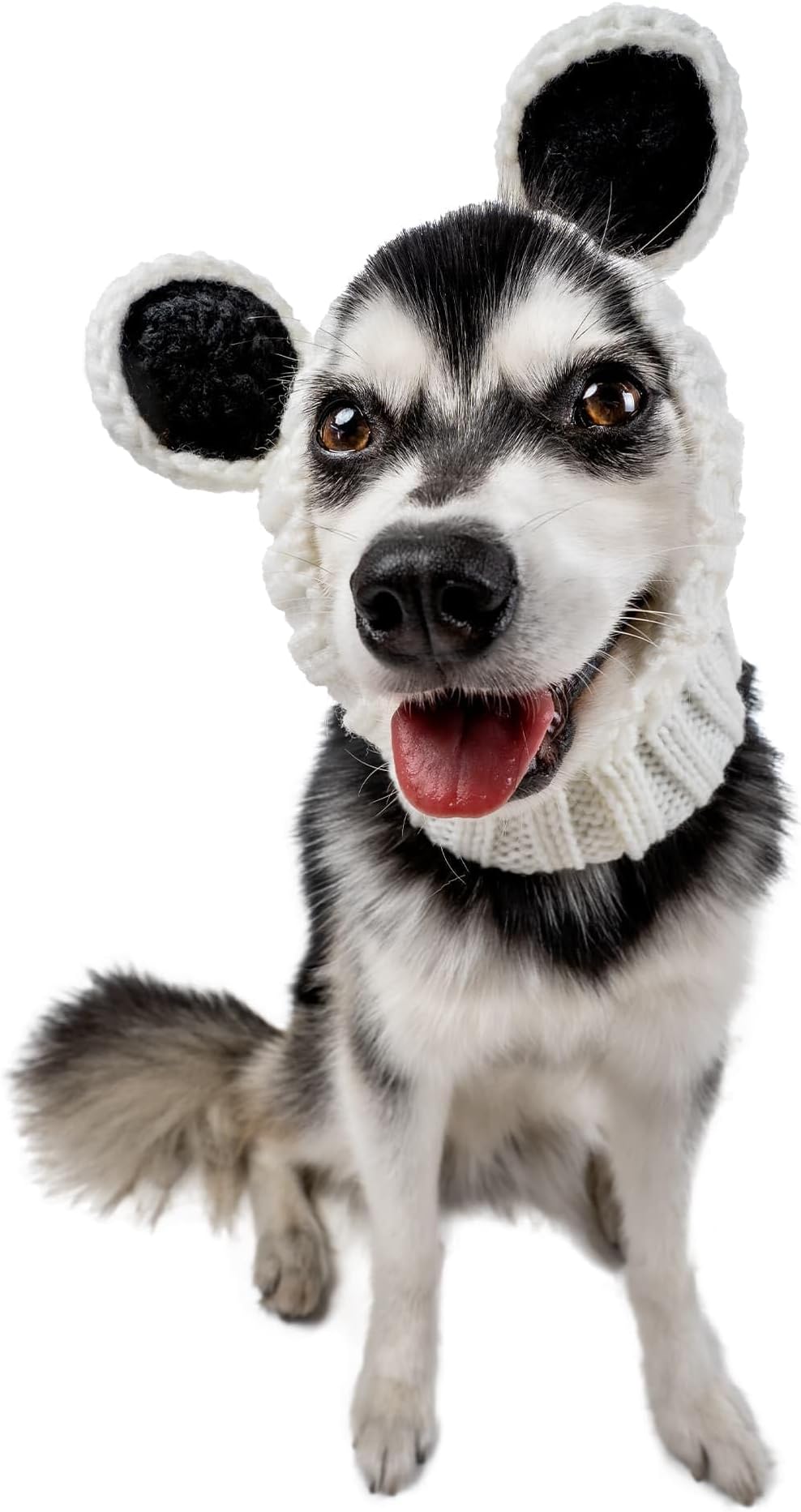 Zoo Snoods The Original Knit Panda Bear Dog Snood, Medium