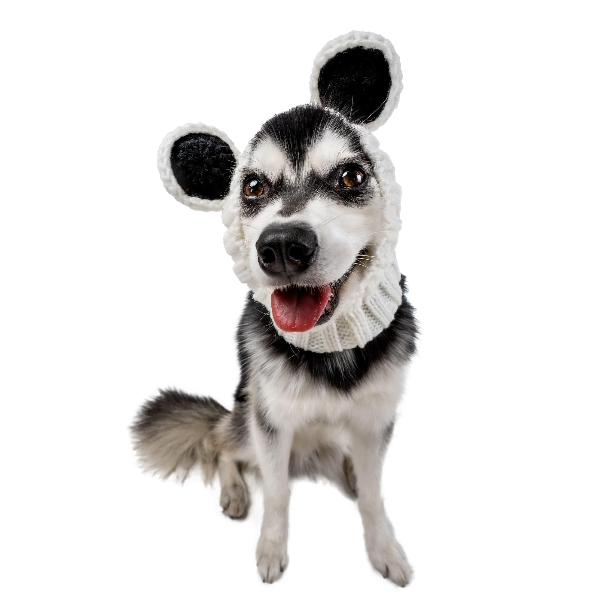 The Original Knit Panda Bear Dog Snood, Medium