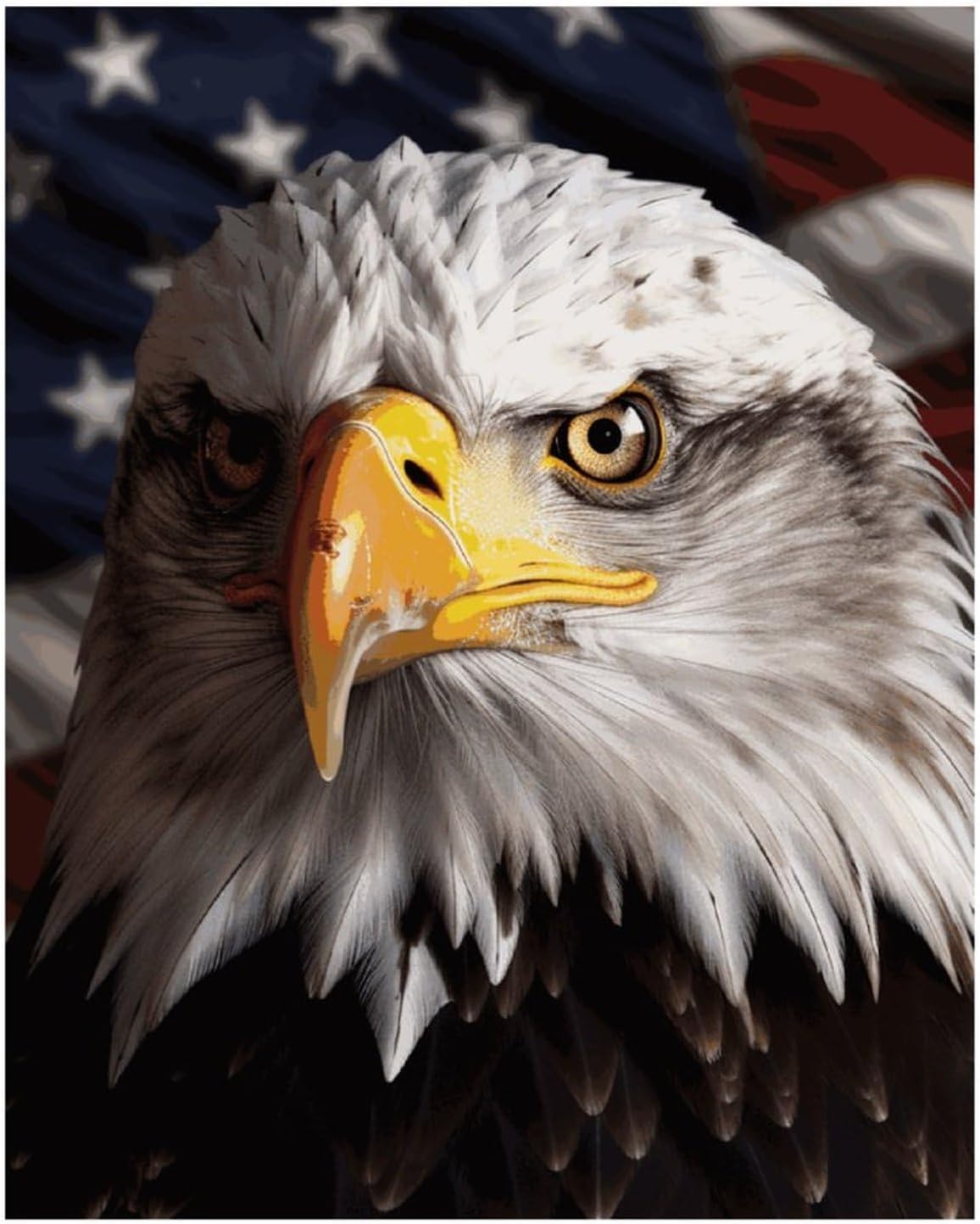 America Flag and Eagle Diamond Art Kits for Adults Diamond Art Diamond Painting DIY 5D Diamond Painting Kit Diamond Painting Kits for Adults Gem Art Square Diamond Art Full Drill 16"x20"