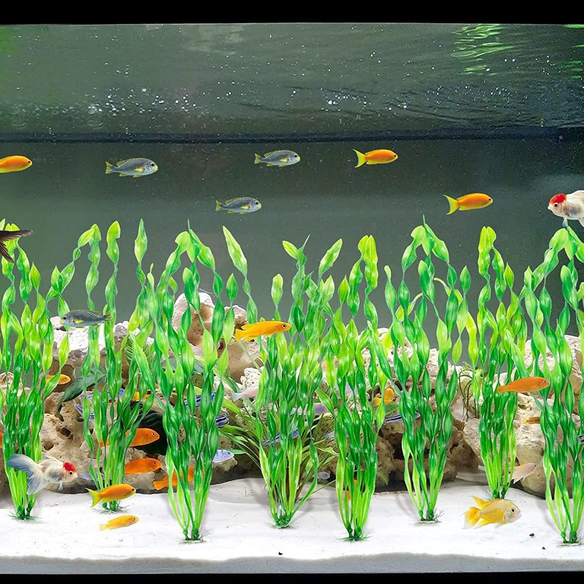 Lot de 5 Plantes Aquarium Artificielles, Décoration Poisson avec Base en Céramique, Algue Artificielle Hauteur pour Aquarium Eau Douce et Eau de Mer, Décoration Plastique pour Réservoir à Poisson