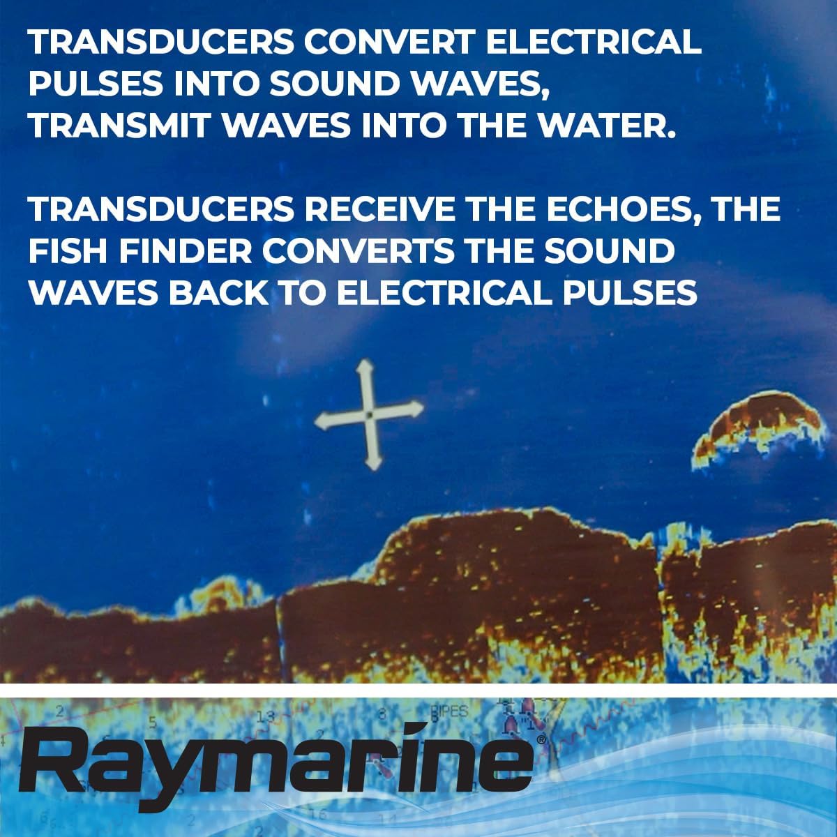 RaymarineGreat Product