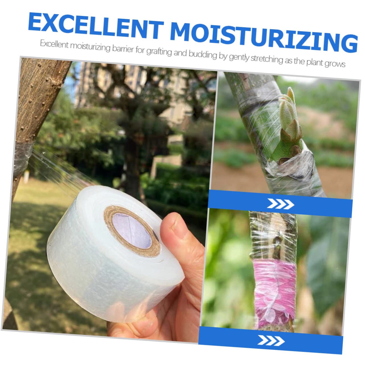 Milisten 2 Sätze Pflanzenband Selbstklebendes Grafting Tape Transparent Für Obstbäume Und Pflanzen Dehnbar Flexibel Für Veredelungsarbeiten 4 Rollen * 2