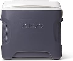 Igloo 28 Quart Iceless Thermoelectric 12 Volt Portable Ice Chest Beverage Cooler, Silver