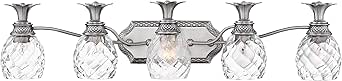 Hinkley Plantation Tropical Five Light Bathroom Vanity Fixture, Polished Antique Nickel