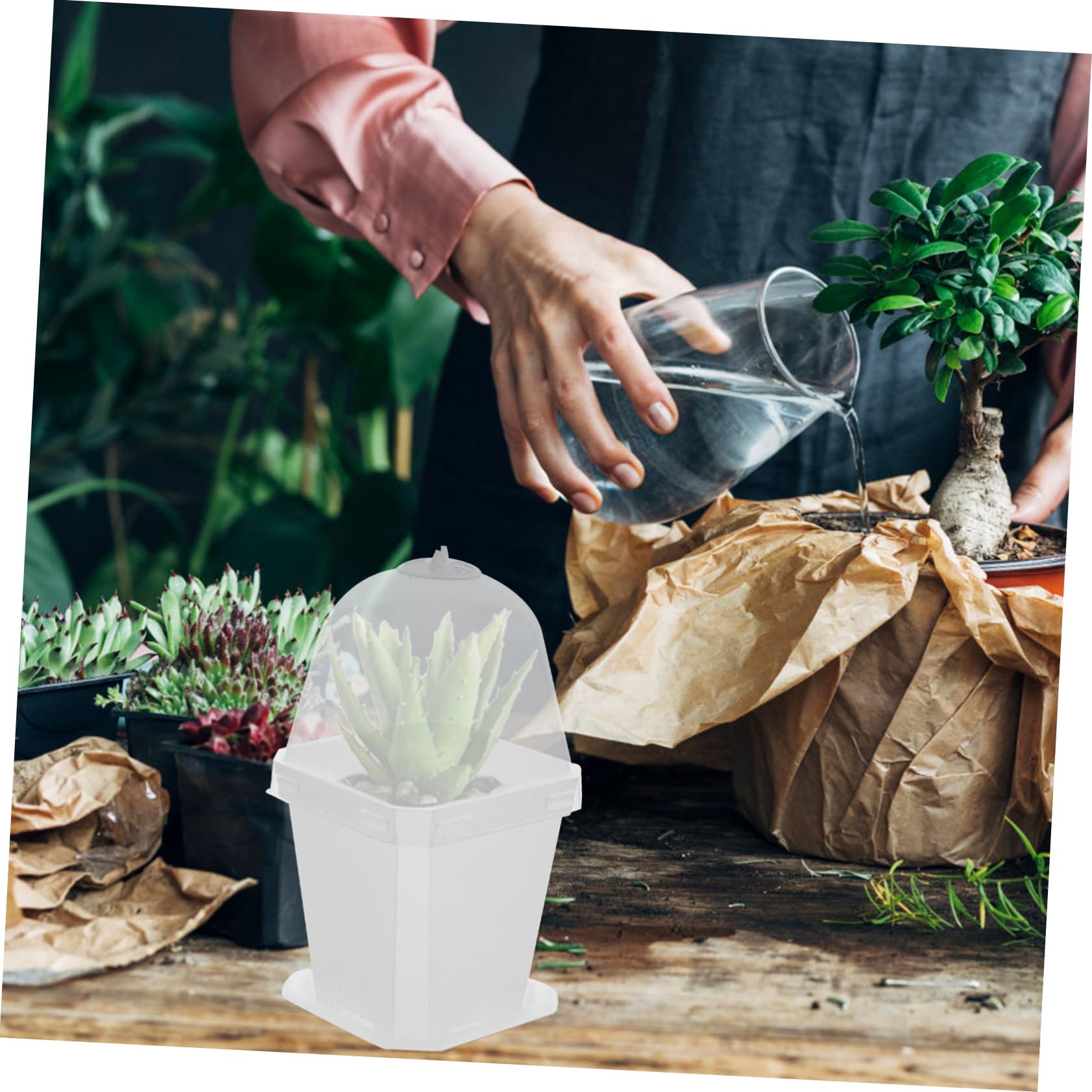 Happyyami 10 Piezas Macetas de Plástico con Tapa y Drenaje Contenedores para Jardín Macetas Transparentes para y Verduras