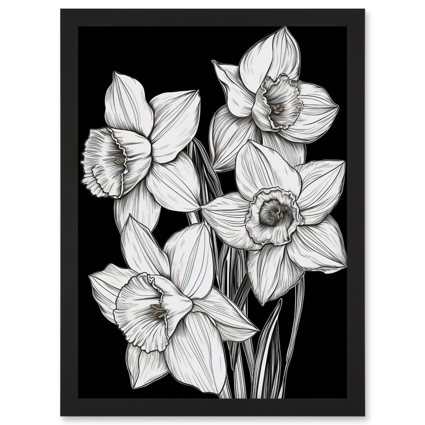 Artery8 Daffodil Wildflower Plant Blooms Black and White Artwork Framed Wall Art Print A4