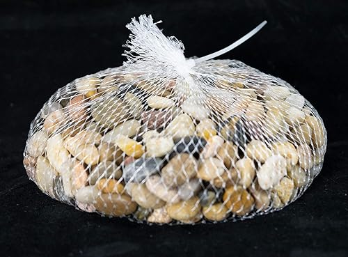 Miniatura 8 de Maceta rectangular verde musgo de 8 pulgadas + bandeja + roca + malla combinada