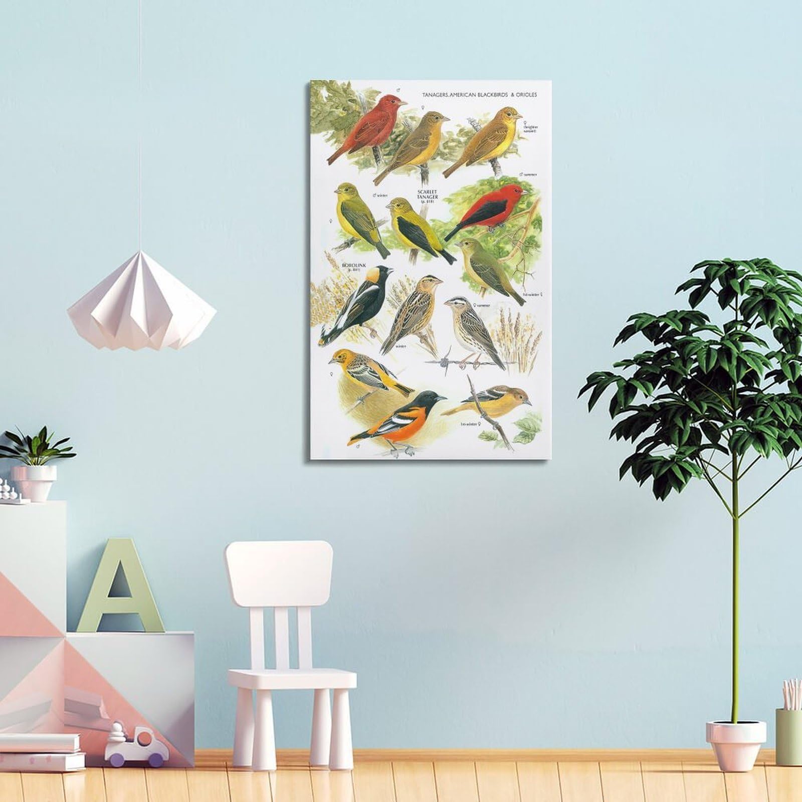 OKNGB Kinder-Zoologie-Pädagogisches Poster, Vogelführer-Poster, dekorative Malerei, Leinwand, Wandposter und Kunstdruck, moderne Familienschlafzimmer-Dekoration, Poster, 50 x 75 cm