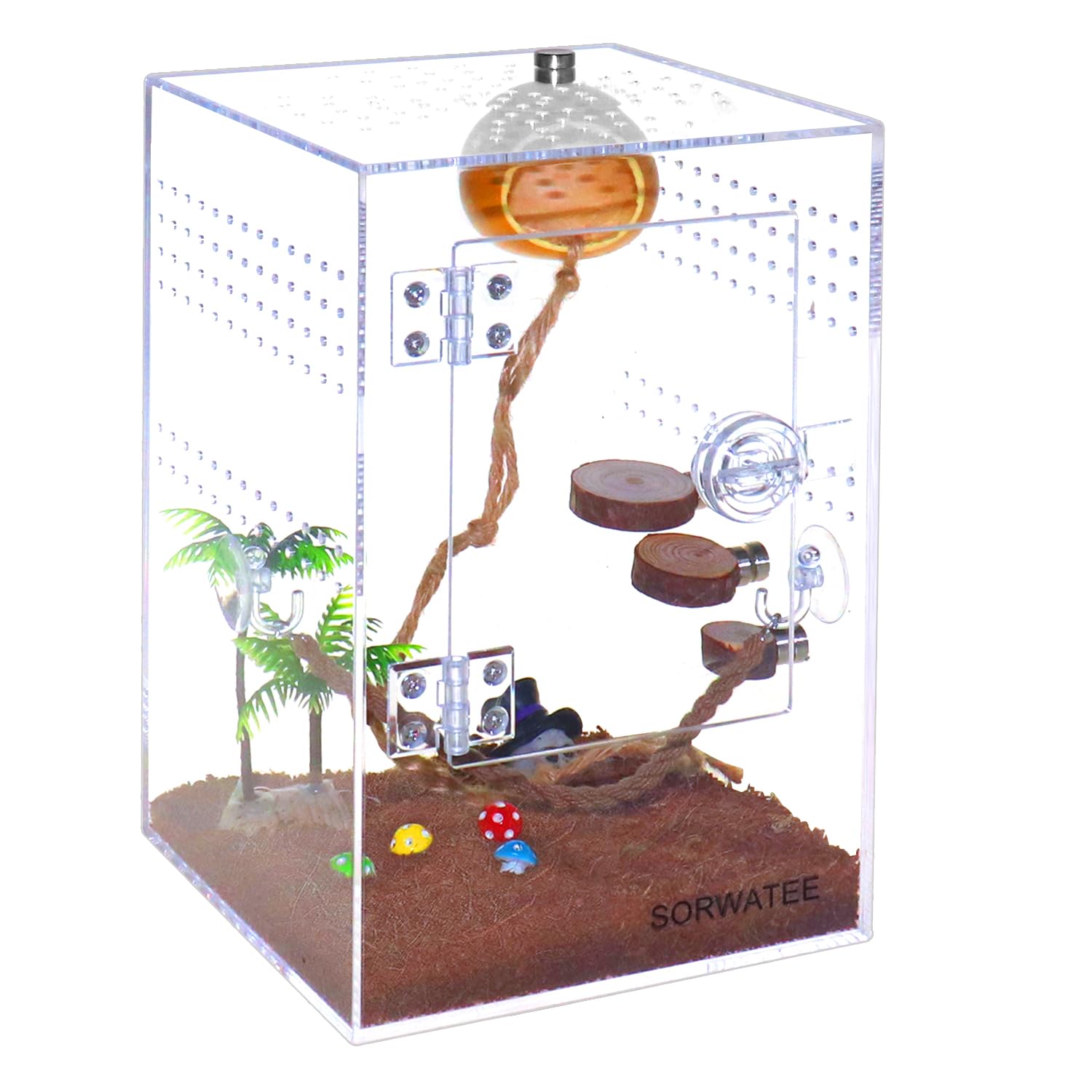 SORWATEE Spider Terrarium Kit, Jumping Spider Enclosure with Hideout, Rope Bridge, Ledge Ladder, Micro Habitat Terrarium for Small Tree Dwelling
