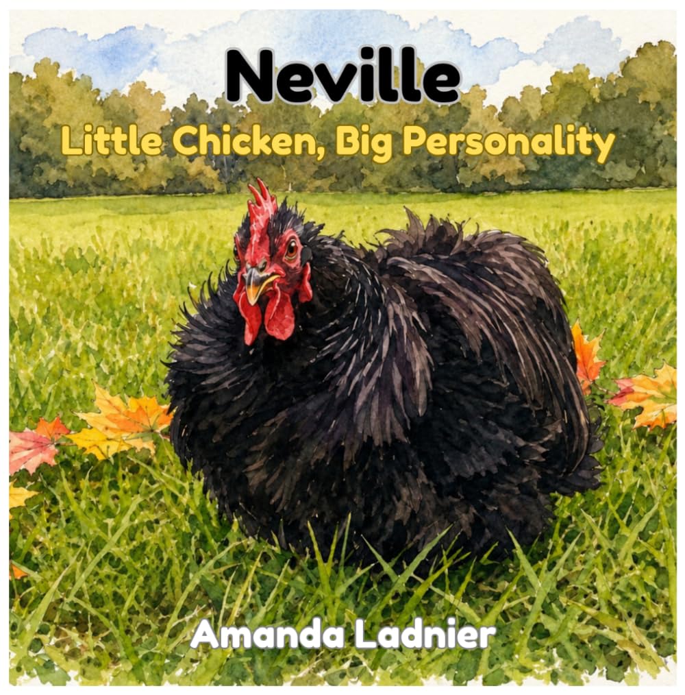 Neville: Little Chicken, Big Personality