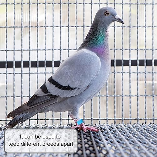 Miniatura 8 de EXCEART Patas de pollo, 100 unidades, anillos de pájaro, anillos de pie de paloma, anillos de plástico multicolor para patas de paloma, anillos de