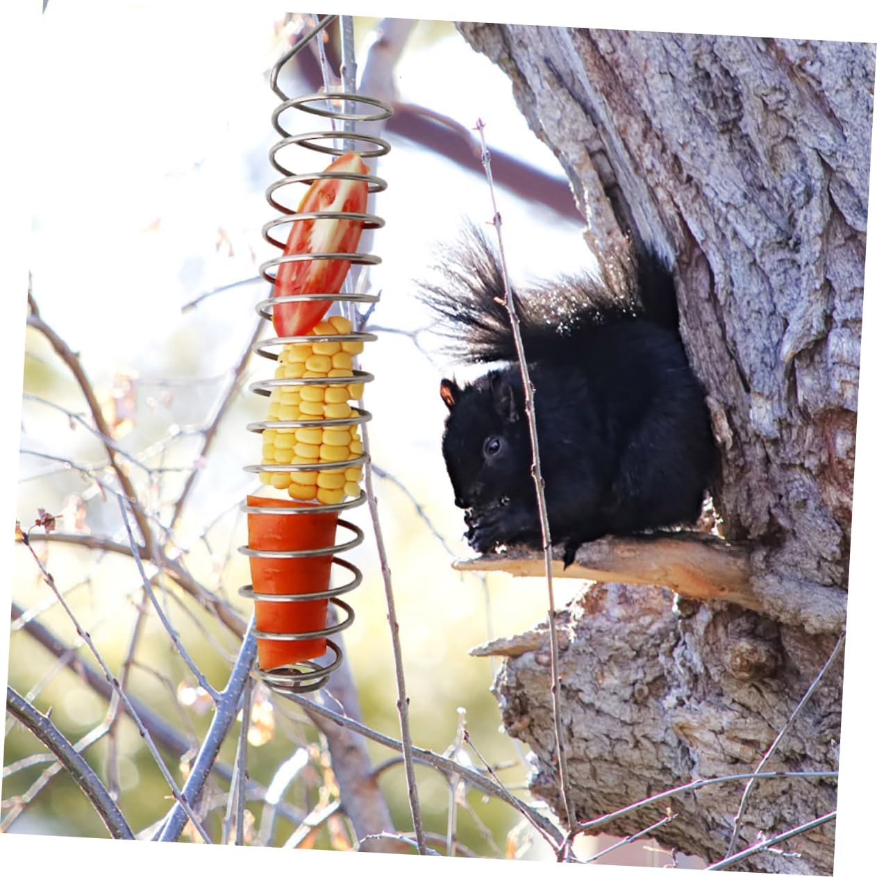 Squirrel Feeder for Outdoors Sturdy Corn Holder Stainless Steel Base Bird and Squirrel Food Feeder for Backyard Wildlife