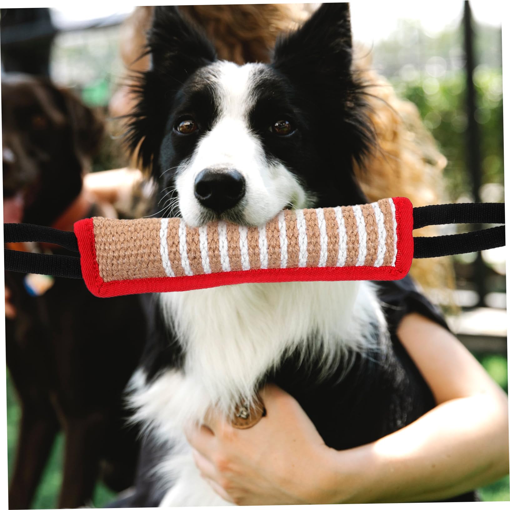 BESPORTBLE 5stücke Hundespielzeug Kauspielzeug Für Hunde Interaktives Kissen Für Training Und Spiel Strapazierfähiges Sicheres Bisskissen Für Große Hunde Beschäftigungsspielzeug Gegen