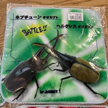 Amazon.co.jp: 昆虫 虫 カブトムシ クワガタ タオル タオル