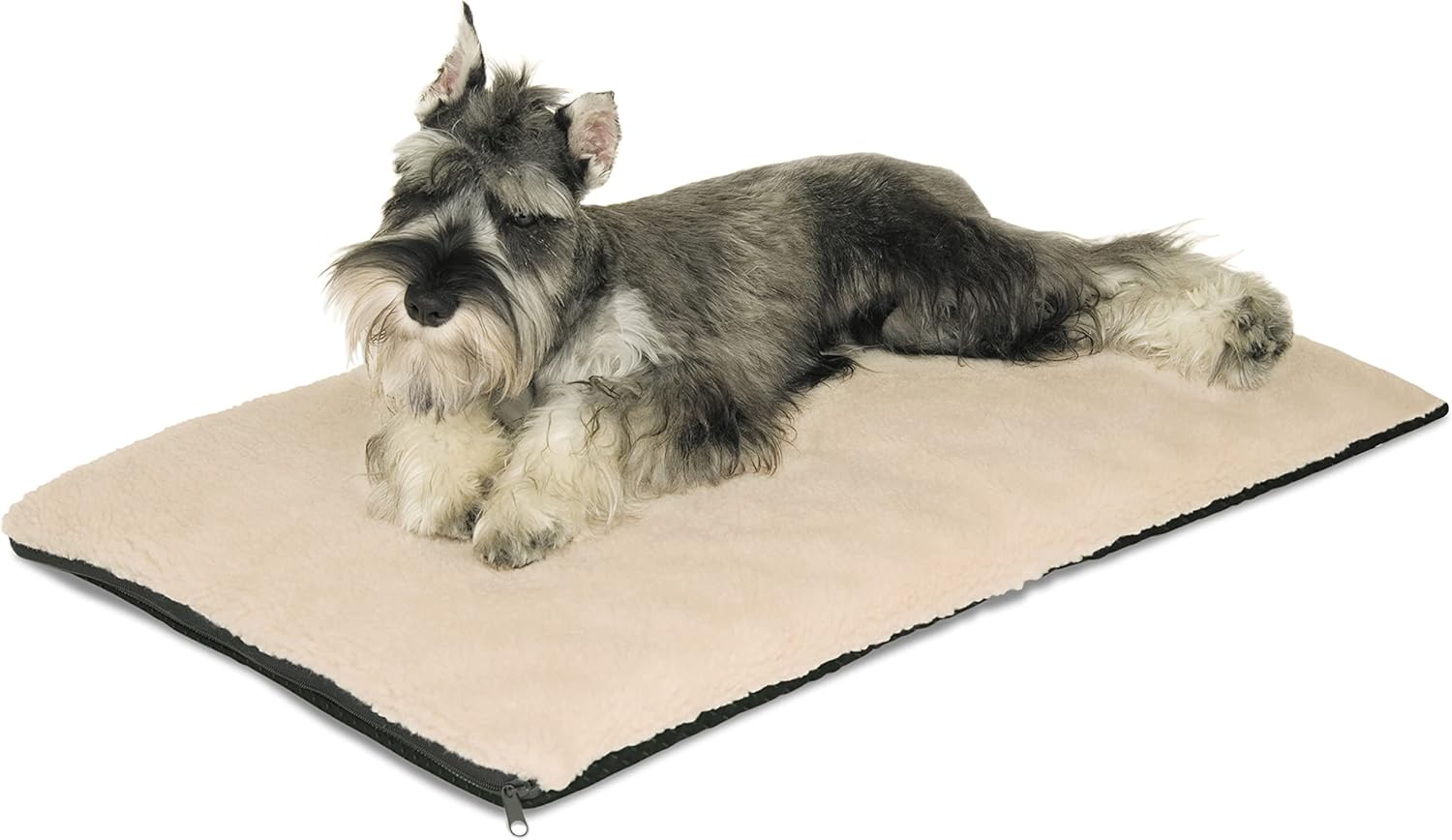 schnauzer dog bed