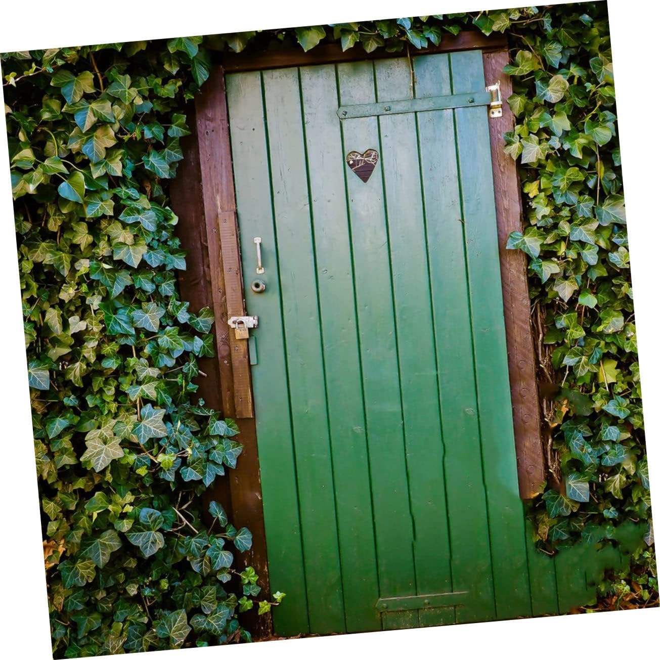 Balacoo Professionally Designed Door Hinges Decorative t Hinges for Indoor Outdoor Buildings