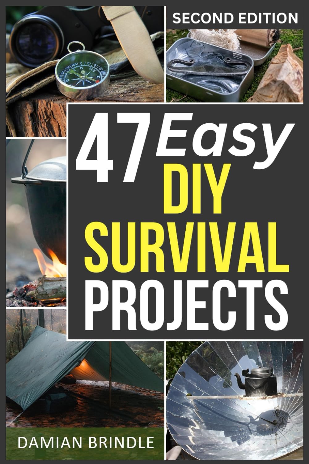 47 Easy DIY Survival Projects: How to Quickly Get Your Family Prepared for Emergencies in Only Ten Minutes a Day (The Survival Collection)