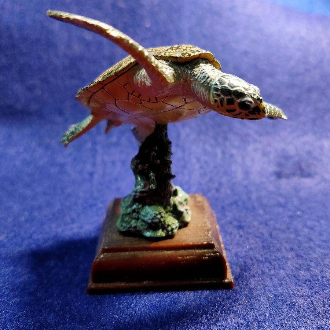 Amazon.co.jp: ネイチャーテクニカラー タイマイ 日本のかめ 亀