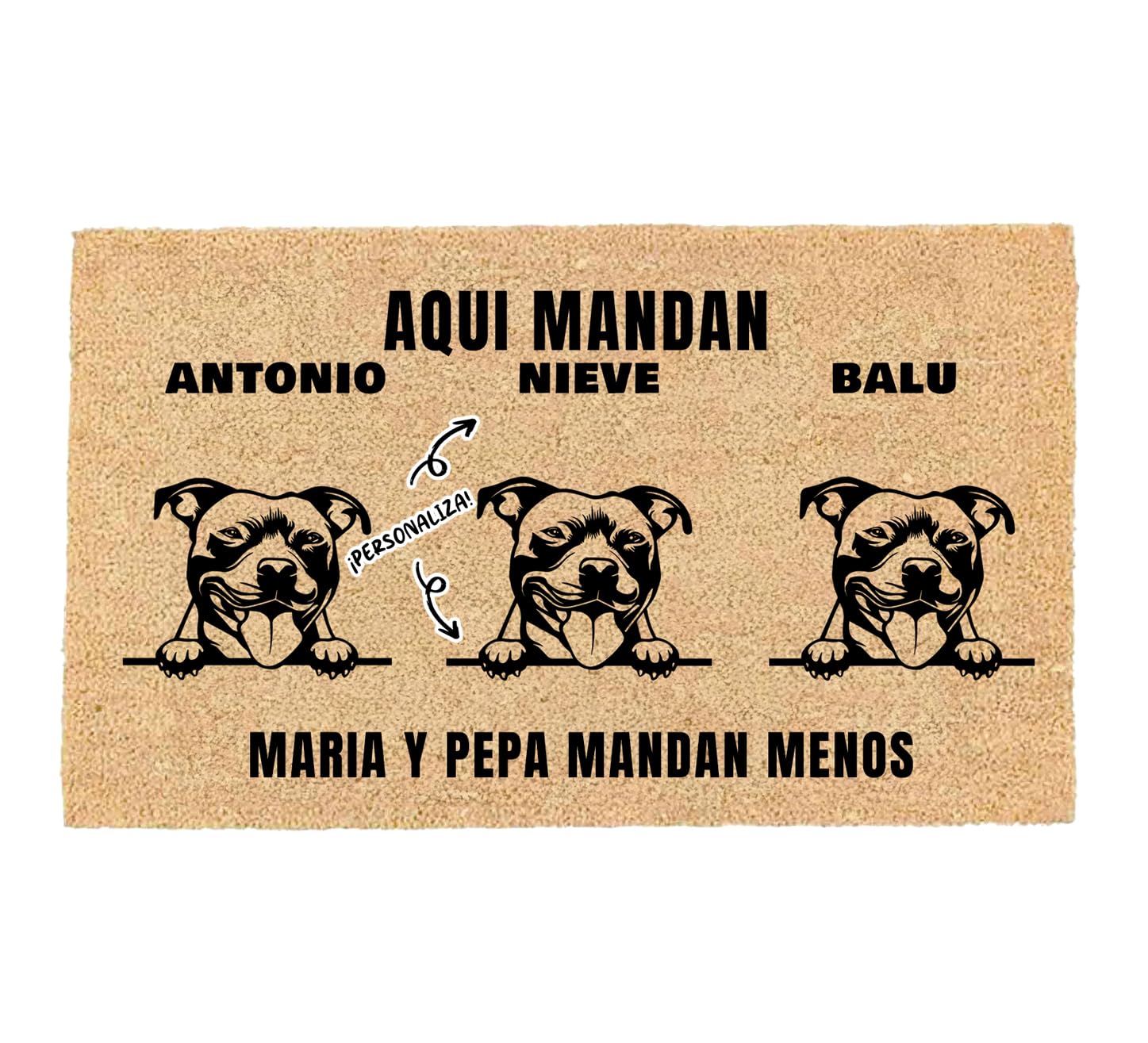 LucaHome - Felpudo Entrada casa Personalizados - Felpudo 3 Mascotas - Original y Divertido - Decoración hogar - Regalos Originales - Alfombra 33x60cm