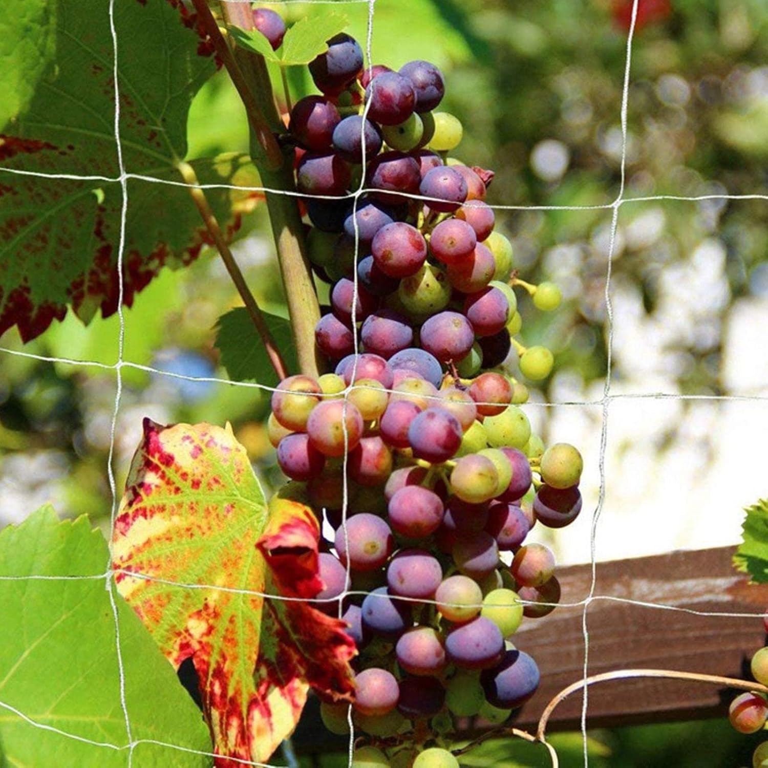 Plant Support Netting, Garden Trellis Netting for Climbing