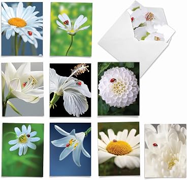 The Best Card Company - 10 Wildlife Thank You Greeting Cards w/Envelopes, Cute Animal Boxed Notes Stationery - My Fair Ladybug AM6332TYG-B1x10