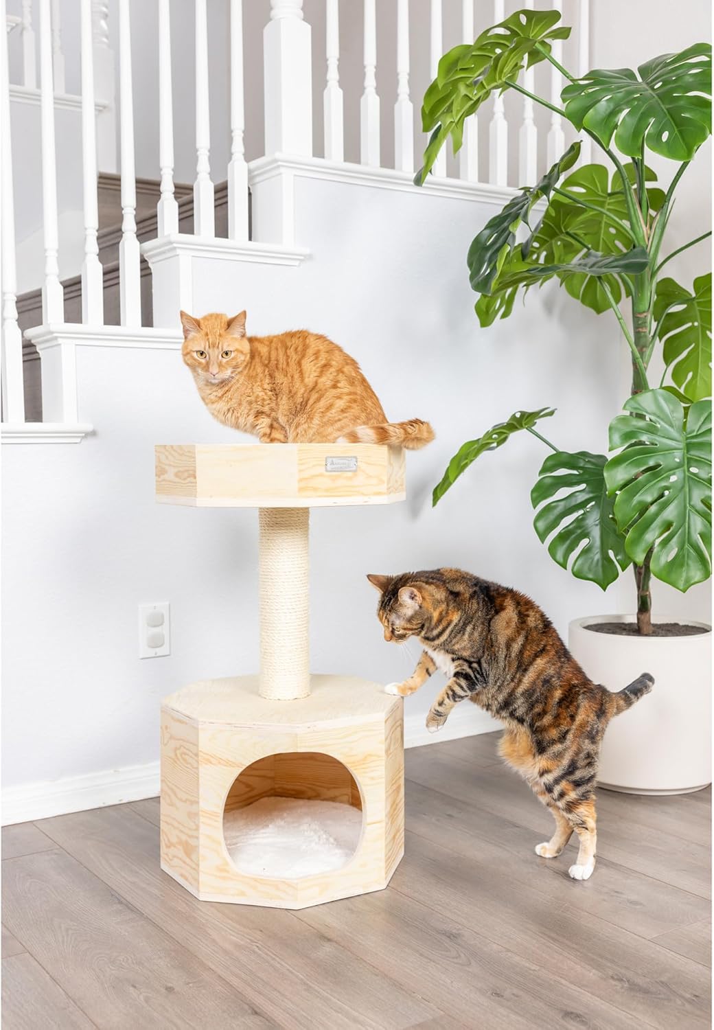Armarkat Solid Wood Sturdy Cat Tree Condo House Furniture with Cushion S2906, Tan, 2 Levels