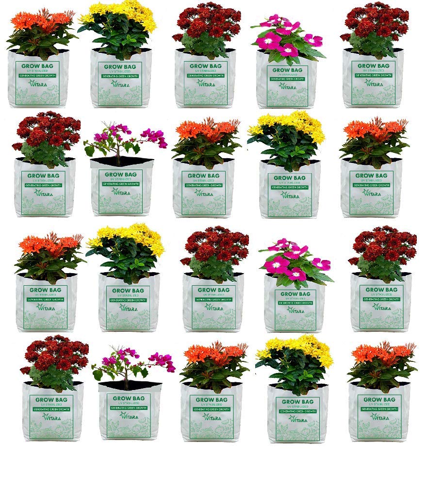 VITARA [ 9 Bags ] UV Treated Poly Grow Bags for Terrace Garden Vegetable , Plants and More(White Outside, Black Inside - 9 Bags) (40*24*24) [ BIG Size ] (B08KG4KWFH) Amazon Price History, Amazon Price Tracker