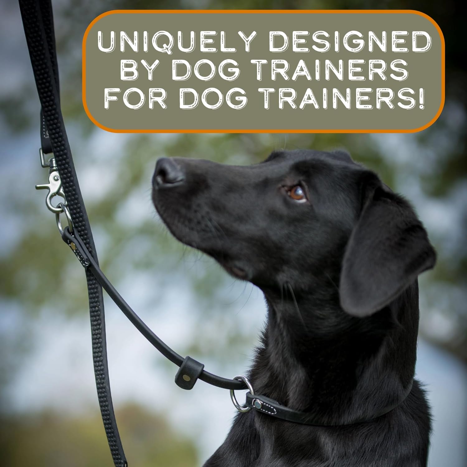 DogBone Adjustable Leader Dog Collar and Leash Set | Dog Leash | Dog Slip Leash | Dog Training Slip Lead | Training Leash | Dog Training Tools | Waterproof Dog Leash