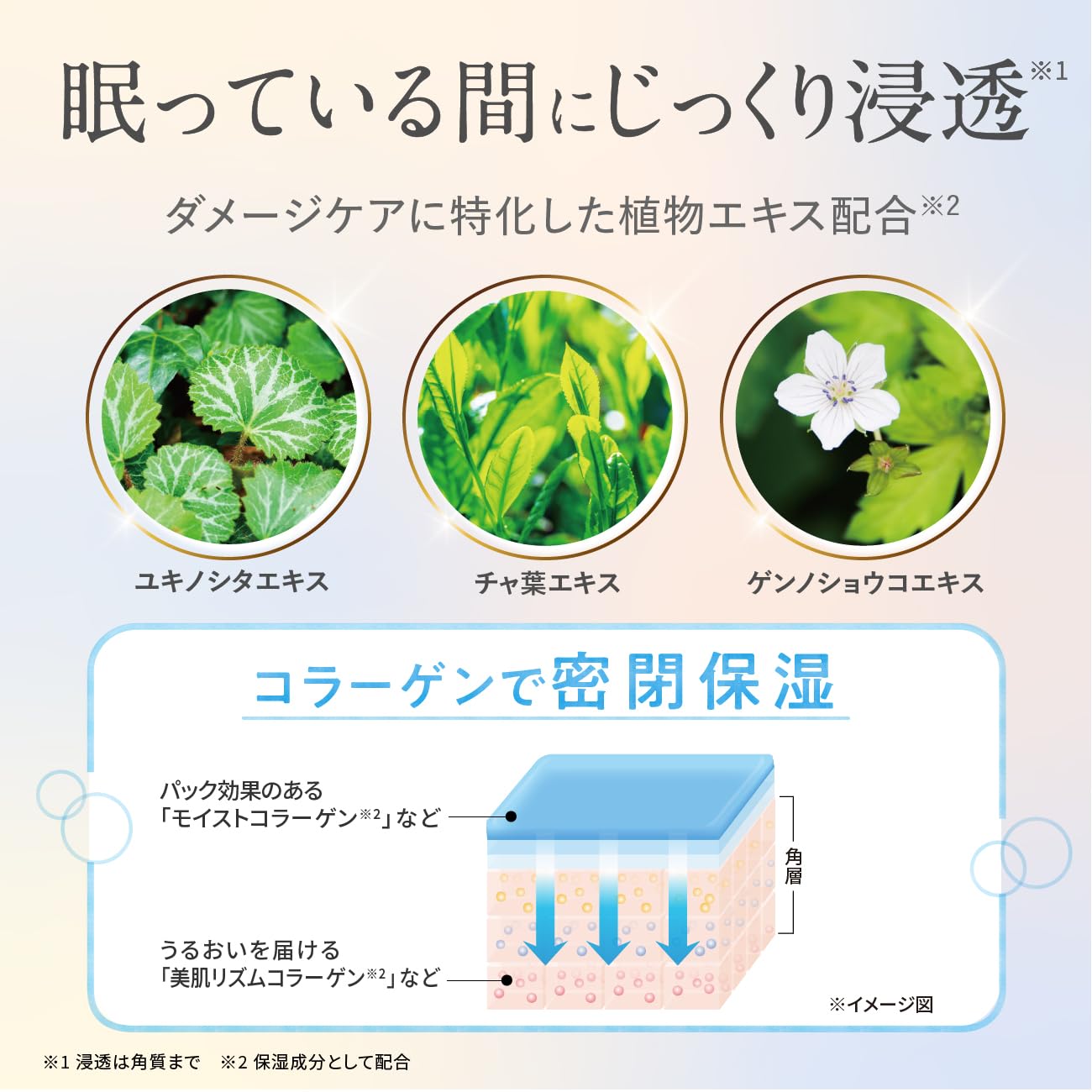 Amazon.co.jp: SEAC (シーク) 世田谷自然食品 シワ改善 オールインワン  