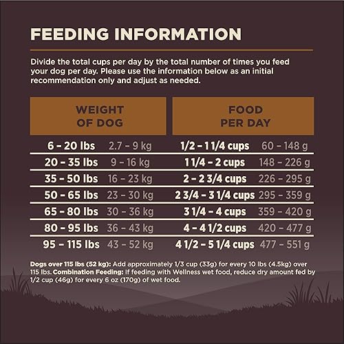 Vista 41 de Comida seca para perro sin granos Wellness Core Natural , Marrón/Azul