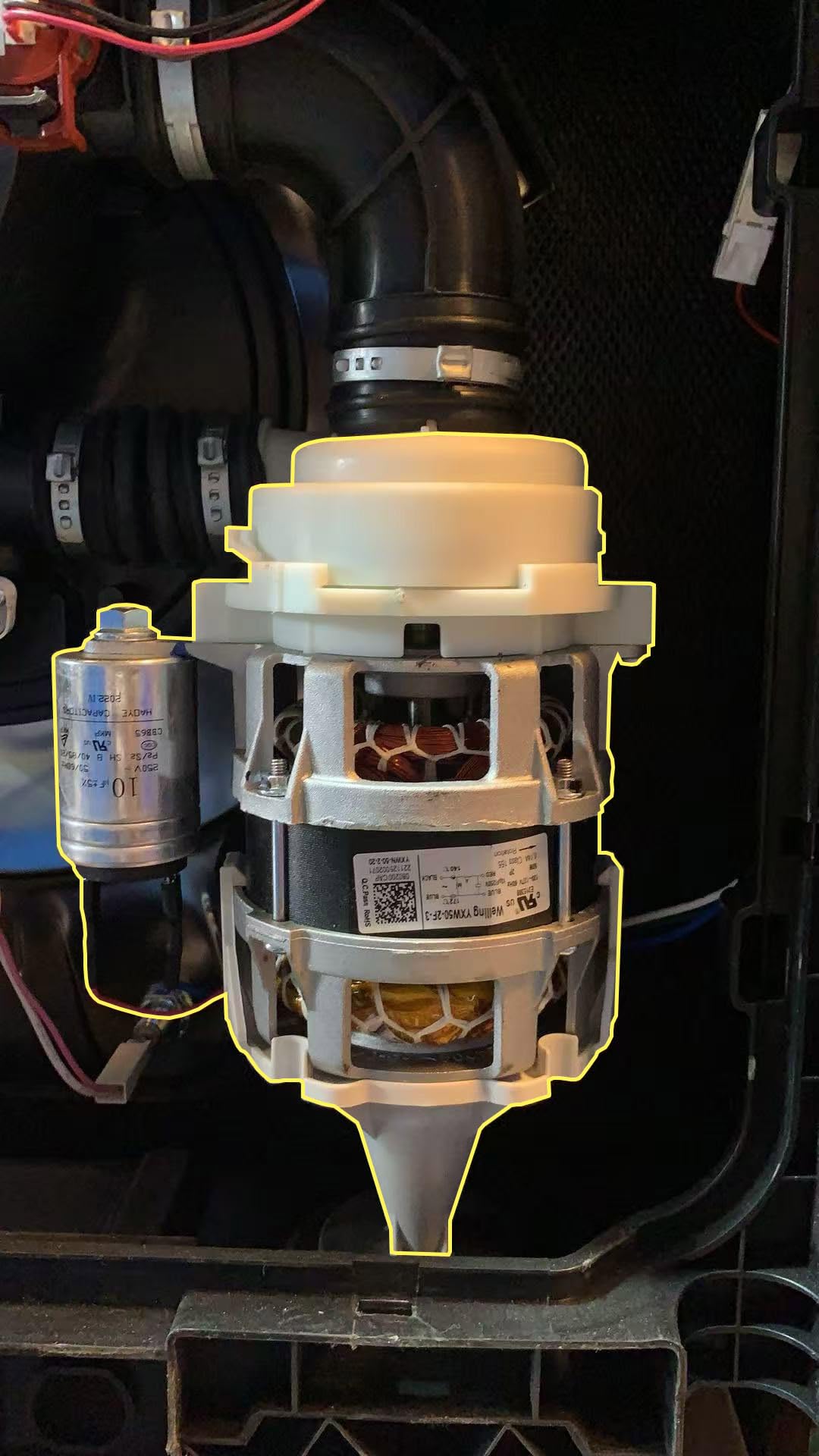 W温冷エステ Amazon.com: D.I.Accessa 2025 YXW50-2F-3 120V~127V 60Hz OEM