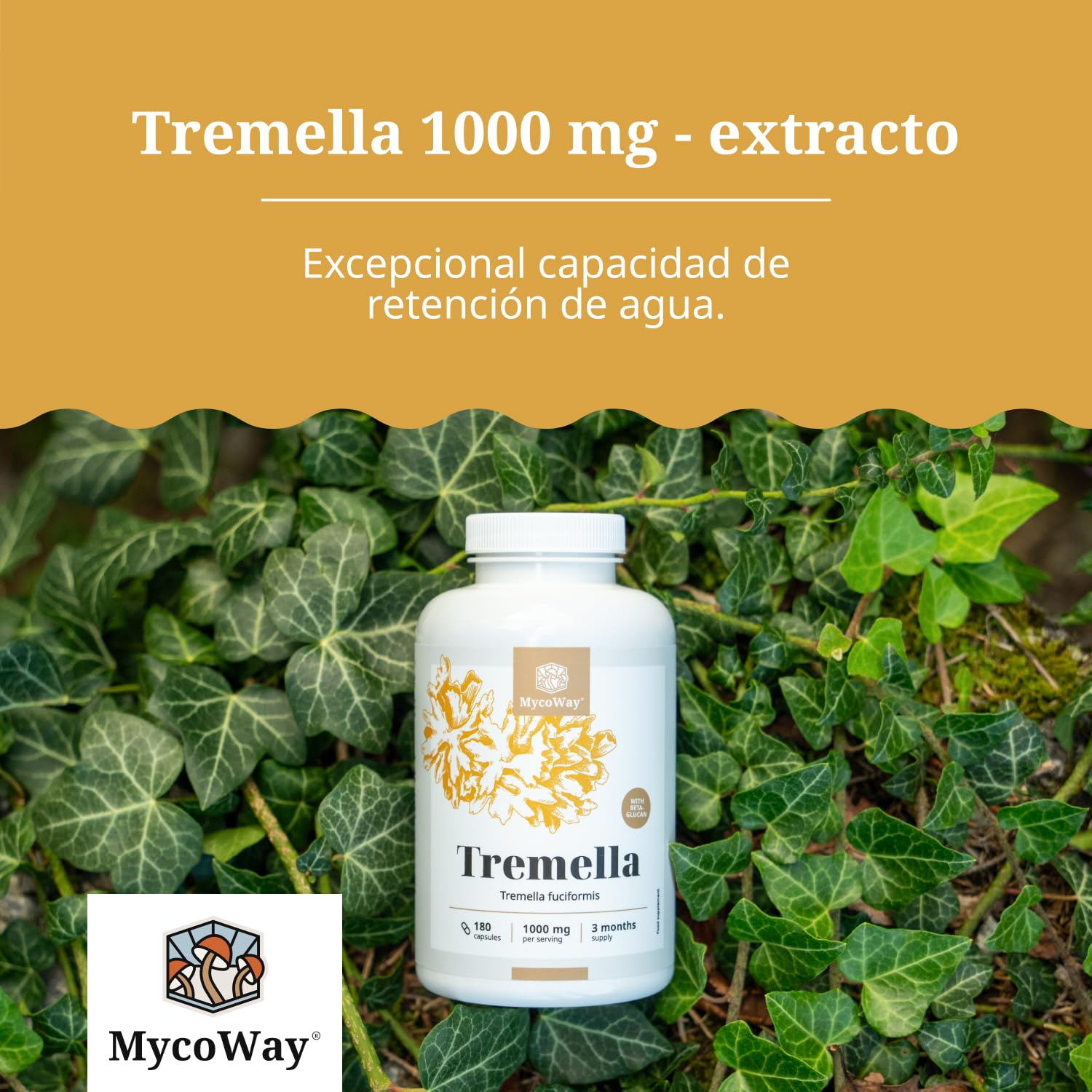 Tremella 1000 mg – Extracto – Tremella Fuciformis – 180 cápsulas vegetales – 10% de betaglucano – «Hongo de la belleza» asiático – Hidratante natural