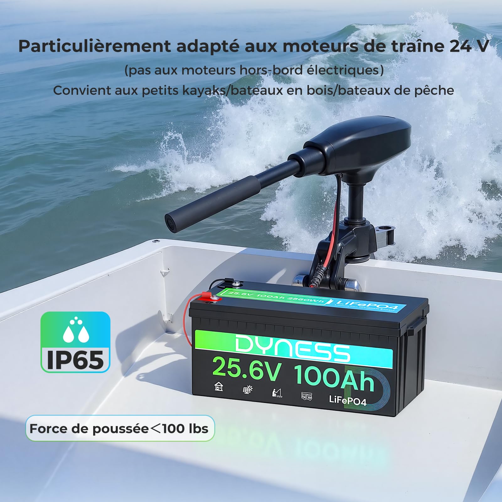 Dyness Batterie Lithium 24V 100Ah LiFePO4 avec BMS intégré 100A et Protection Basses Températures, Batterie Lithium à Décharge Lente pour Camping Car, Panneau Solaire, Bateaux Bass, Hors-Réseau