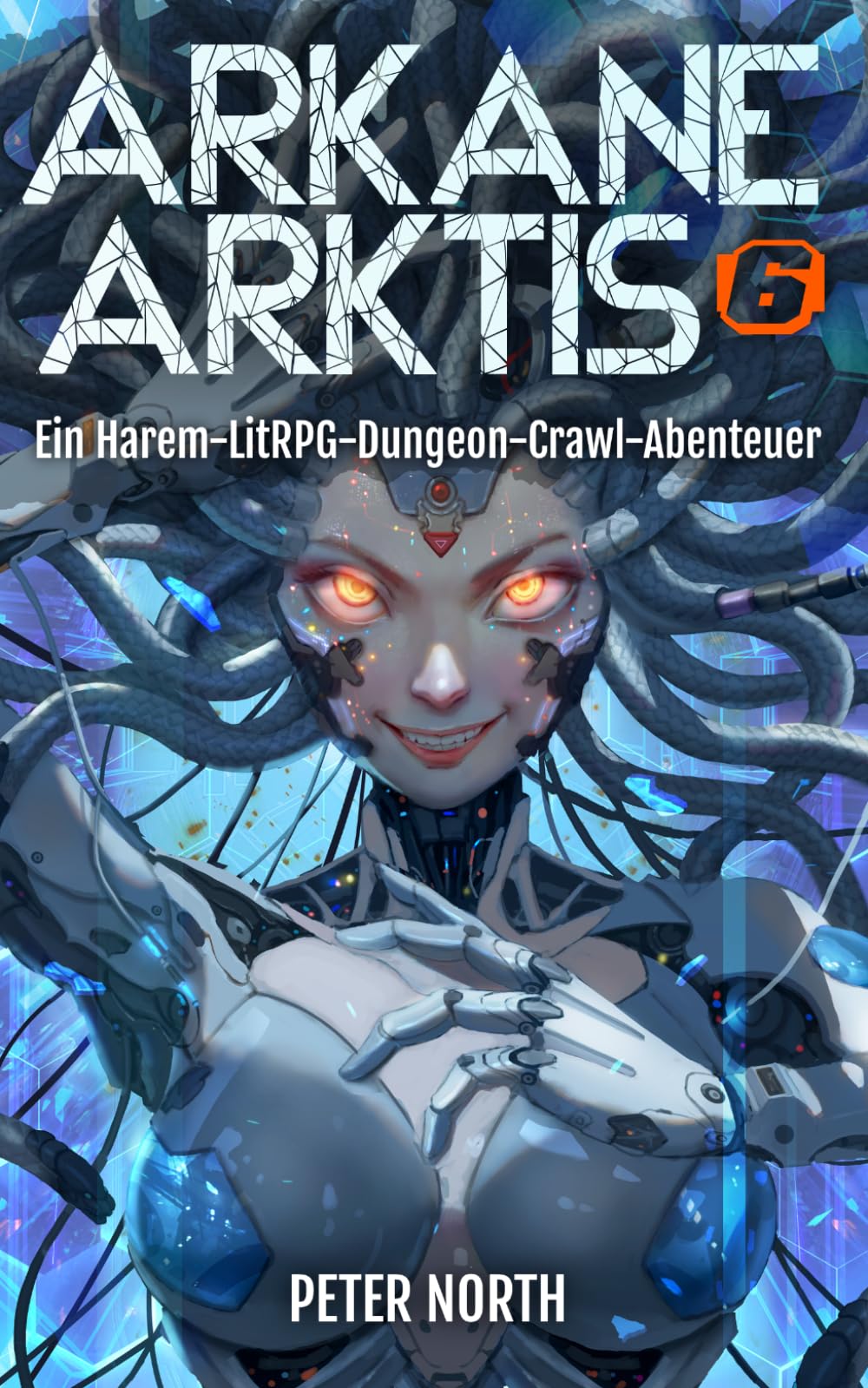 Arkane Arktis 6: Ein Harem-LitRPG-Dungeon-Crawl-Abenteuer