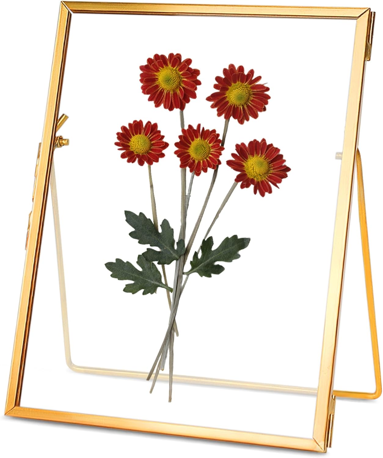 REDHUGO Glass Pressed Flower Frame Handmade, Floating Picture Frames for Pressed Flowers, Tabletop Artwork Photo Frames, Brass Desk Picture Frame for Home Office Plant Specimen, Gold, 6x8 Inches