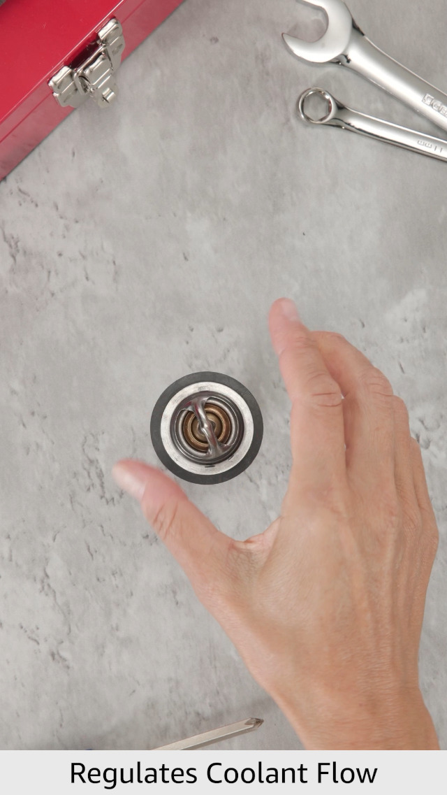 Amazon.com: MotoRad OE Type Thermostat (13899), Stainless Steel