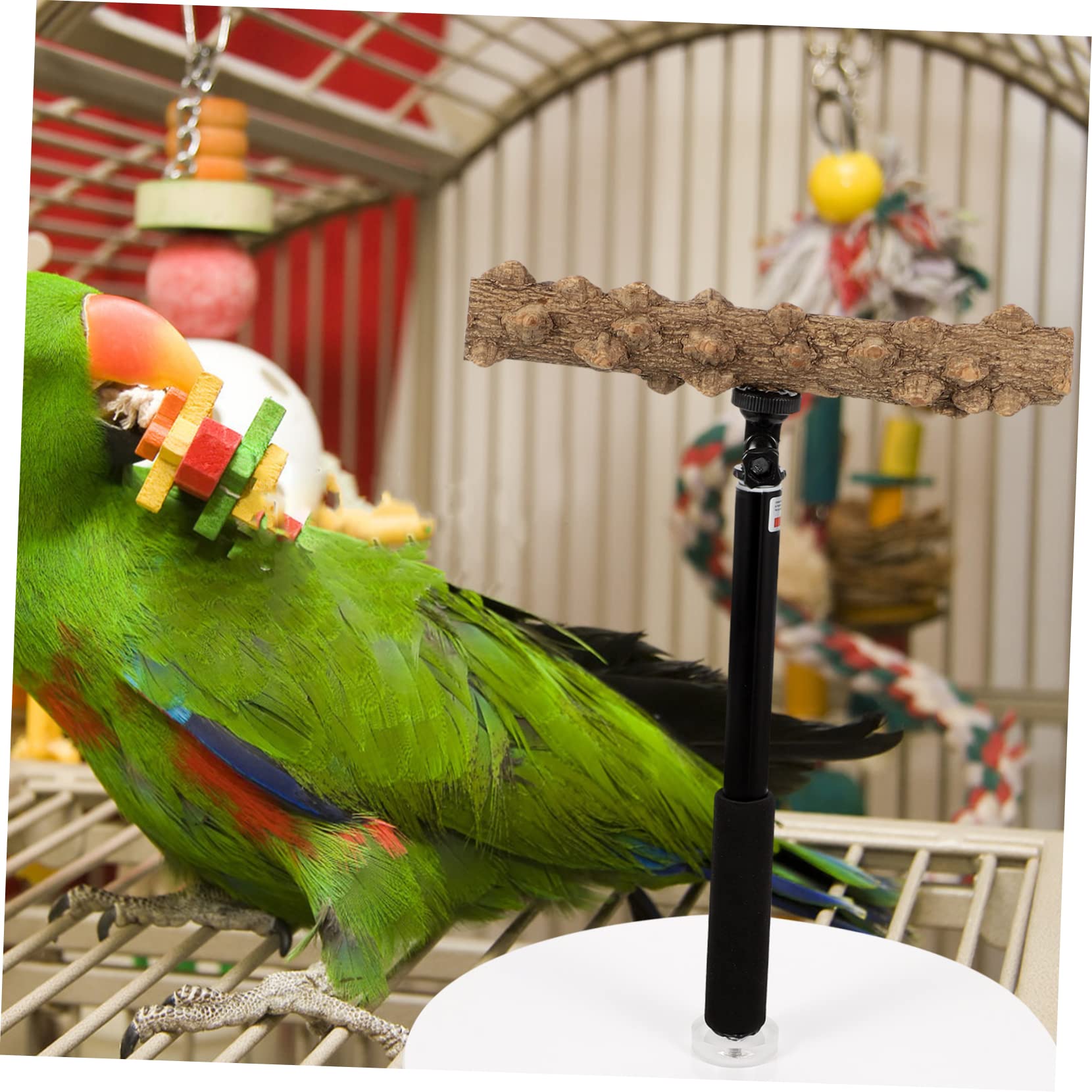 Percha Ajustable de Altura para Loros y Aves, Soporte Metálico | Base Estable, Superficies Rugosas, para Entrenamiento y Observación de Aves Cantando