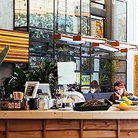 Vista 4 de Zerodeko Bandeja reutilizable para granos de café, 2 unidades, para cocina, cafetería, comedor, diseño de pendiente, sin fugas, uso flexible