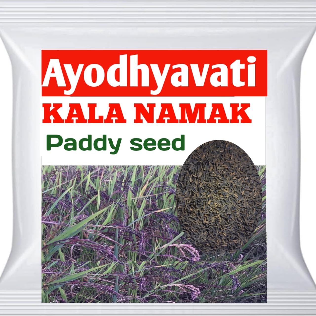 AYODHYAvati Black Rice Paddy Seeds (Kala Namak Rice Paddy Seeds) Hybrid 1 Kg Pack Kala Namak Dhan Seeds - Black Rice (B0B25S39SF) Amazon Price History, Amazon Price Tracker