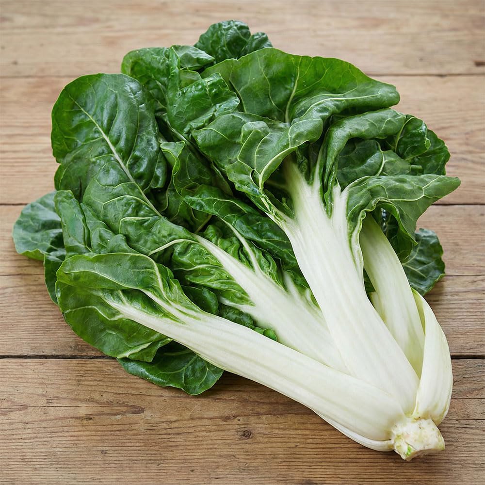 Swiss Chard Seeds ‘Verde a Costa Bianca’ – White Stem Chard – High Yield Leaf Vegetable – Easy to Grow – Italian Heritage Variety
