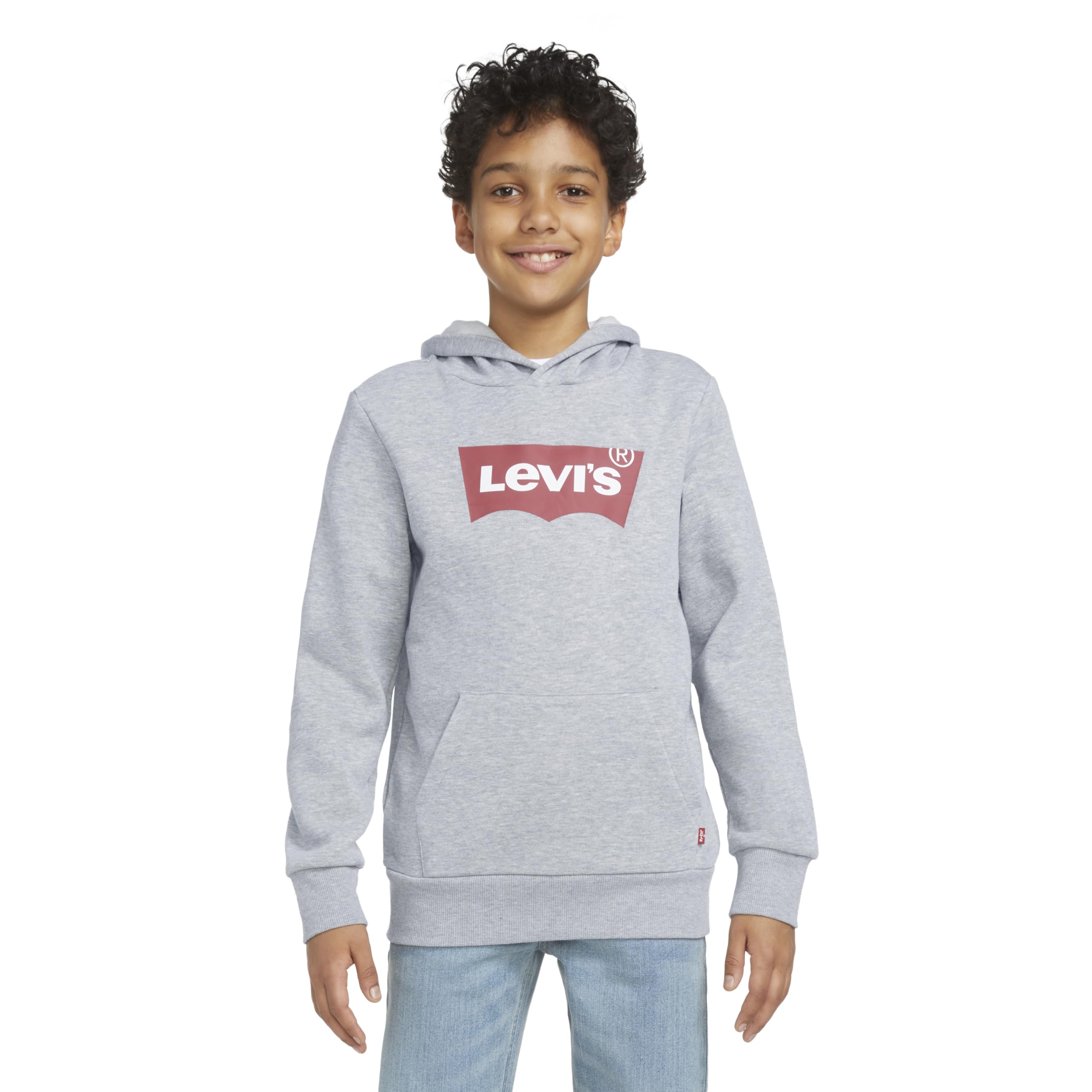 Levi's Lvb Batwing Screenprint Hoodie, Felpa con Cappuccio Bambini e ragazzi, Grigio (Grey Heather), 16 anni