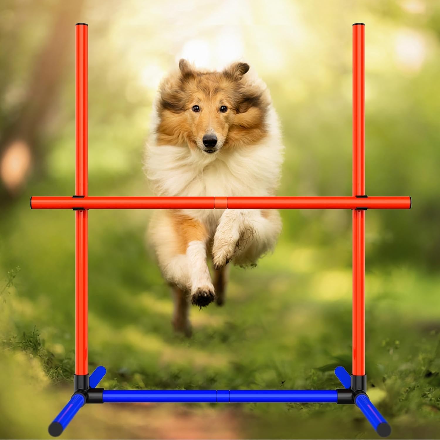 Dog Agility Equipment - Complete Dog Agility Course Backyard Set Including Tunnel & Obstacle Course, Professional Training Equipment for Dogs - image 5