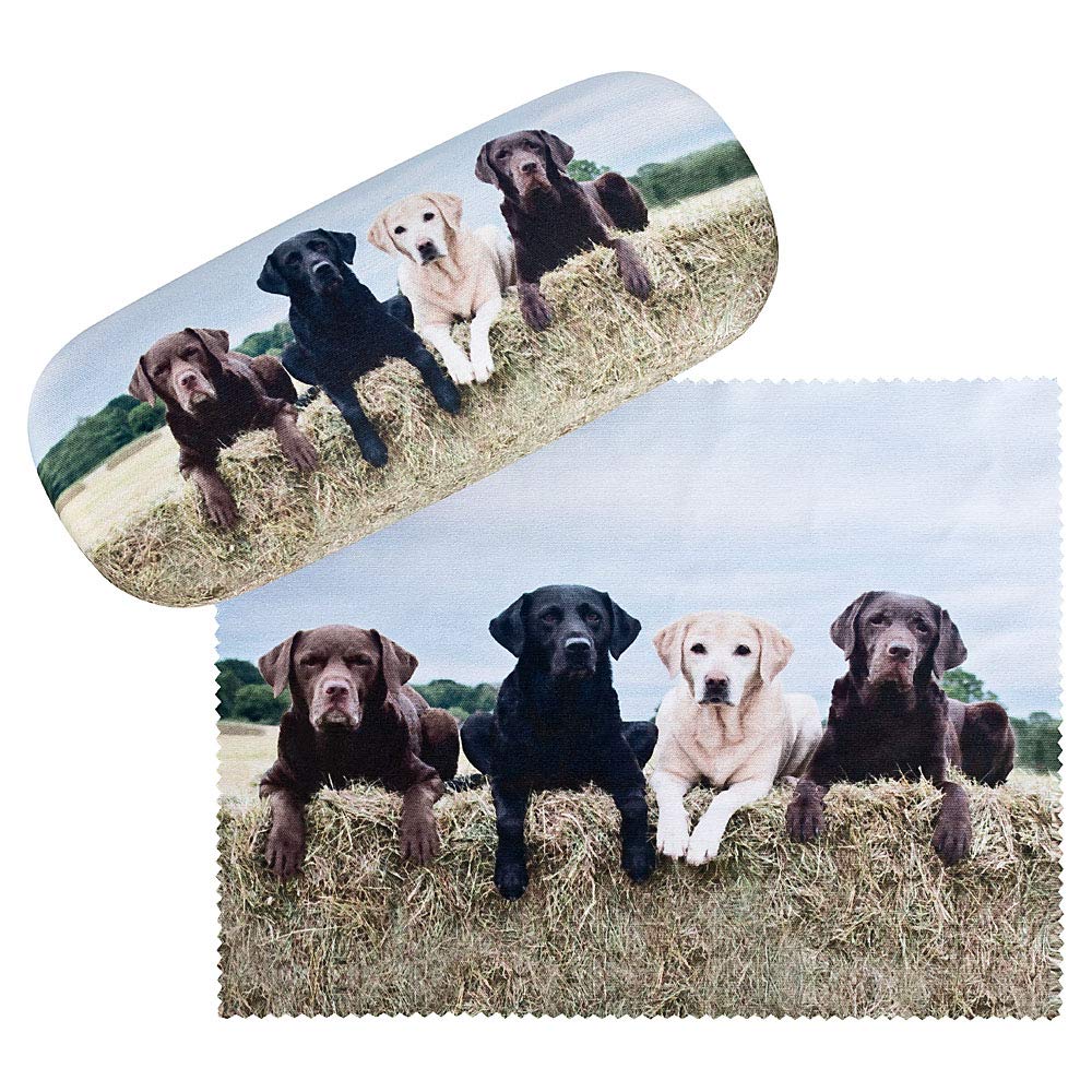 Glasses case Border Collies Dog SALE Von Lilienfeld -We love umbrellas