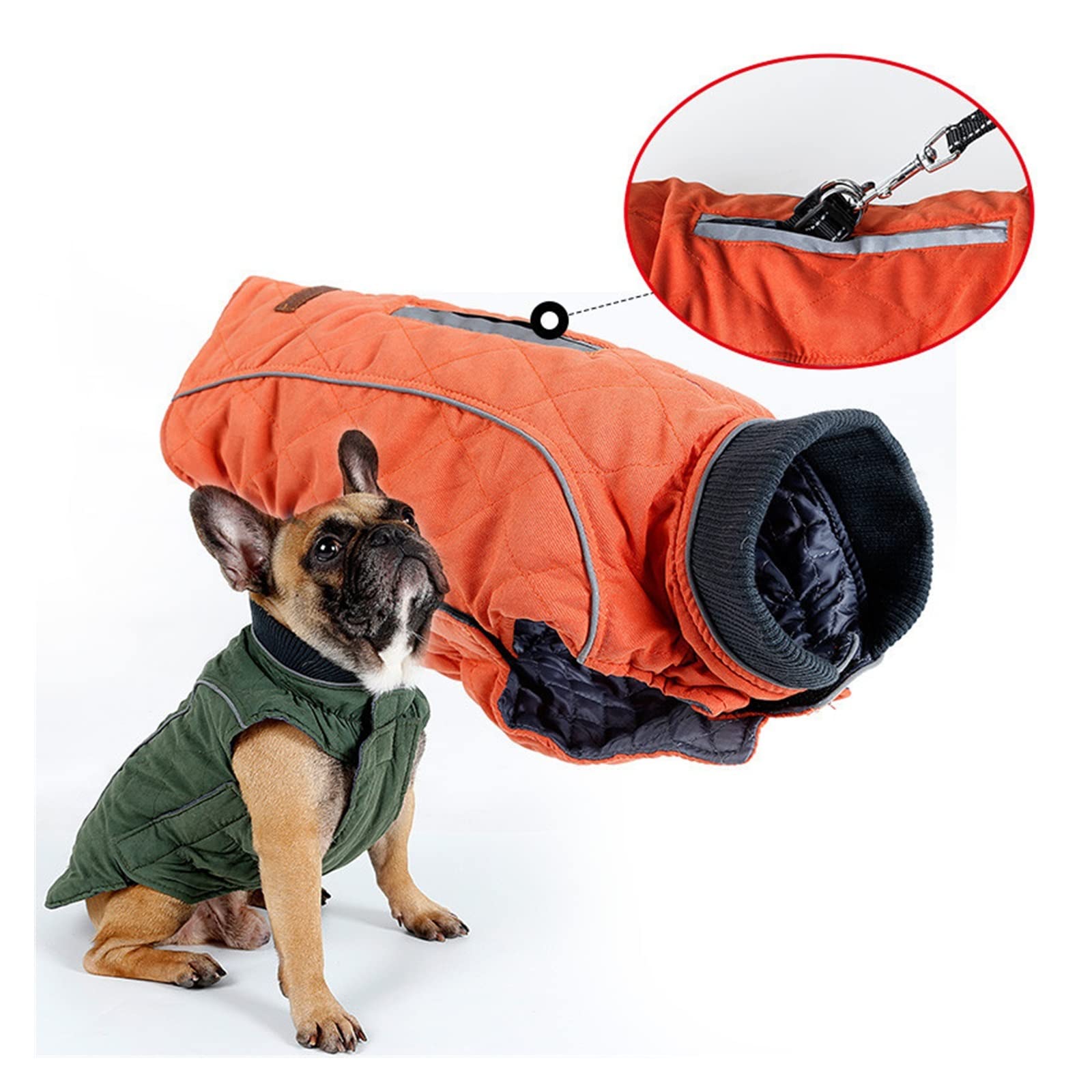 KIKBAX Abbigliamento for Cani Cappotto Pet Giacca Calda Gilet Abbigliamento (Color : Green, Size : 3XL)