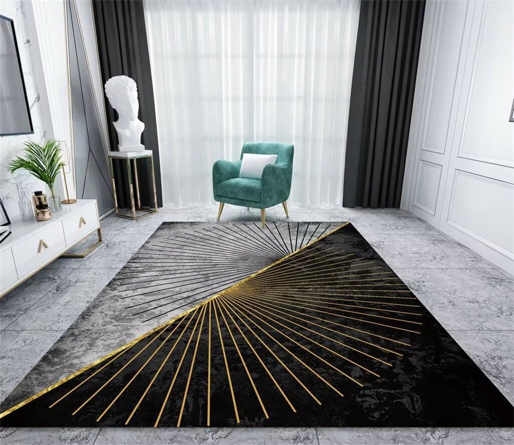Moquette Salon Moquettes, Tapis Et sous-Tapis Tapis De Couloir Rectangulaire Gris Noir, Résistant Aux Taches, Antidérapant Anti Glisse Tapis 200X300Cm 6Ft 6.7''X9Ft 10.1''
