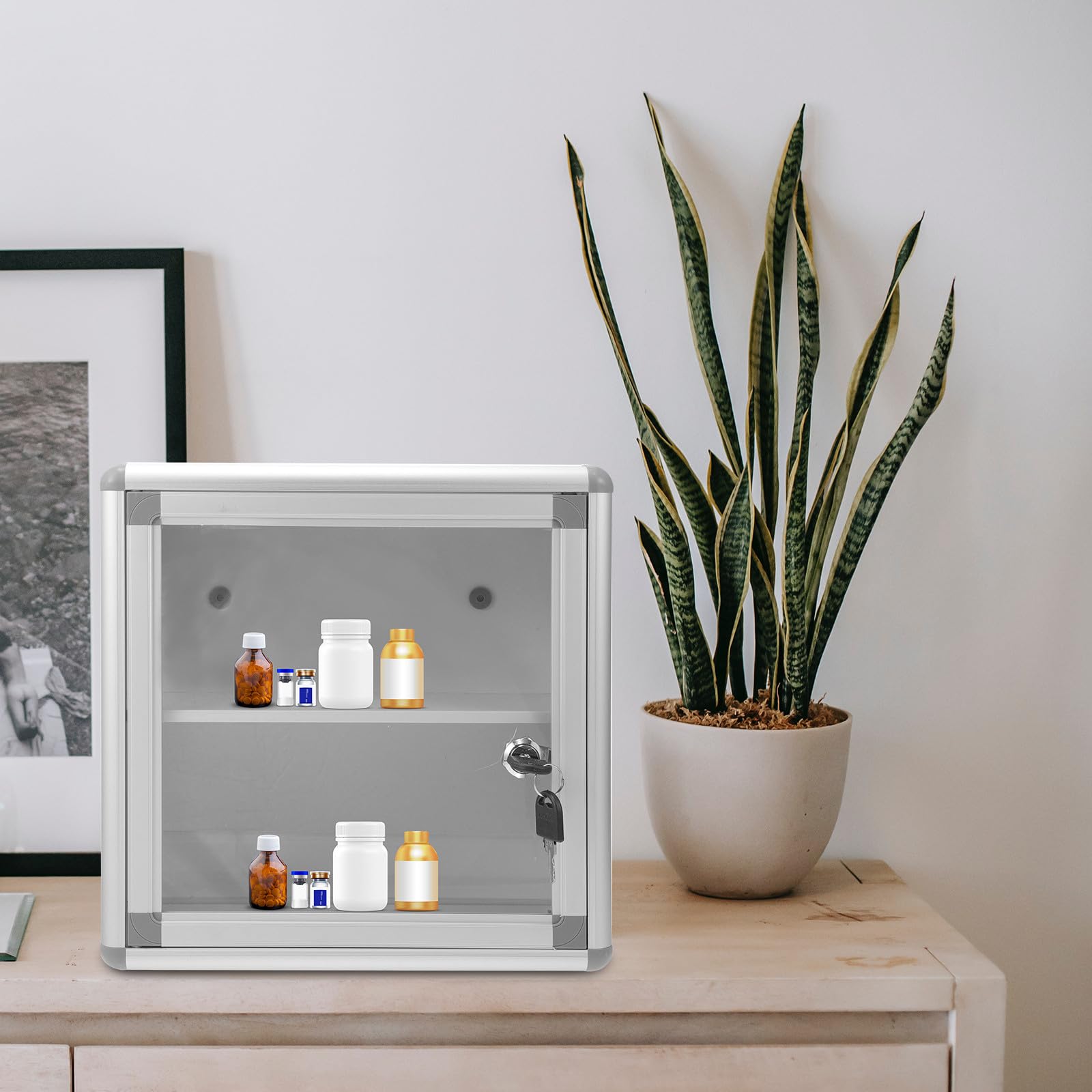DOITOOL Caja de Medicamentos Llave de Aleación de Aluminio, Organizador Multiusos Seguro para Botiquín de Primeros Auxilios, Diseño para Pared Adecuado para Camping y Viajes