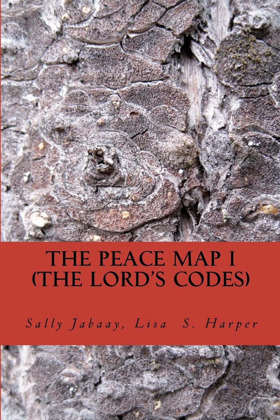 The Peace Map: The Lord's Code: The Bible has code messages within limited verses. The code messages will answer who is innocent or guilty, who is ... and warnings of assassinations to name a few.