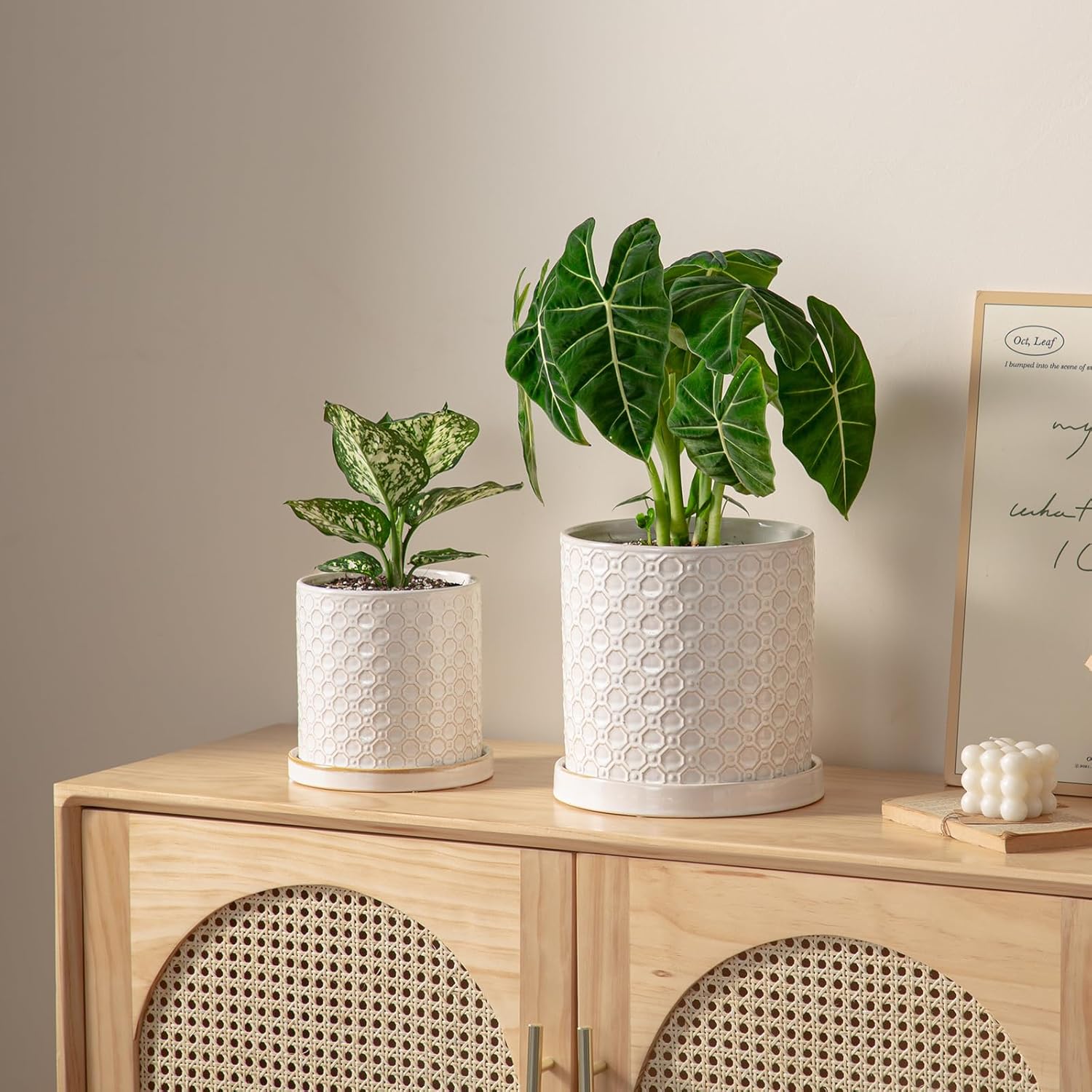 6 Inch Plant Pot: Ceramic Planter with Drainage Hole & Saucer Indoor Outdoor Plants - Cylinder Round Flower Pot for Home Office - Modern Decorative - Small White