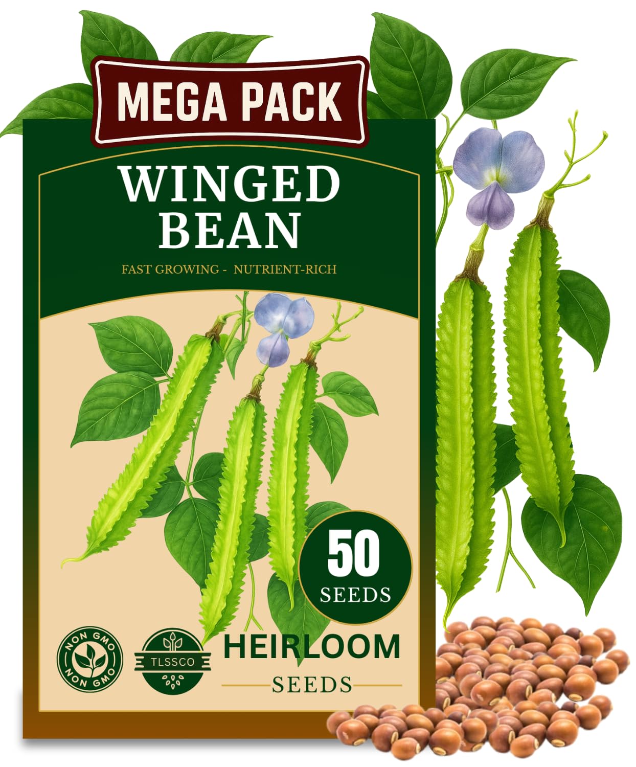 50+ USA Premium Winged Bean Seeds for Planting, Non-GMO Seeds – High-Yield, Nutritious, Tropical Climbing – Non-GMO, Heirloom Vegetable Dragon Four-Angled Bean
