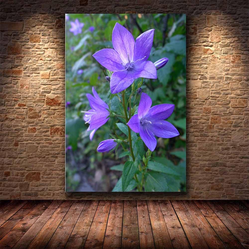 CUDAOO Semplice arte botanica Stampe su Canvas Fiori viola a campana per Camera da Letto Agriturismo Soggiorno Bagno(viola)-60x90cm Incorniciato